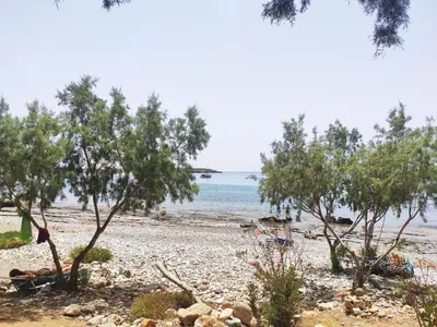 a beach with trees and the ocean in the background at Georgoshouse Lykos beach Sfakia in Livanianá