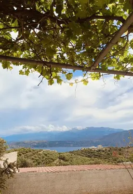 a view of a lake and mountains from a tree at Village house with a nice garden in Stérnai