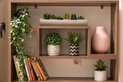 a book shelf with potted plants and books at Luxury Apartment in Halepa in Chania Town