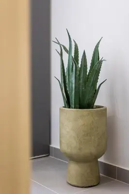 a plant in a pot sitting on a floor at Fanouris Luxury Apartments in Chania Town