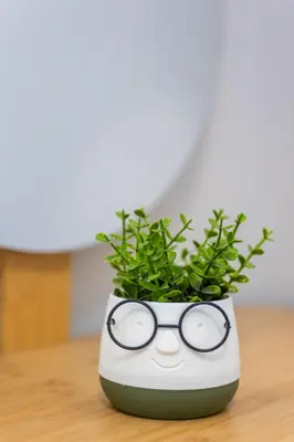 a potted plant with a pair of glasses at Fanouris Luxury Apartments 2 in Chania Town