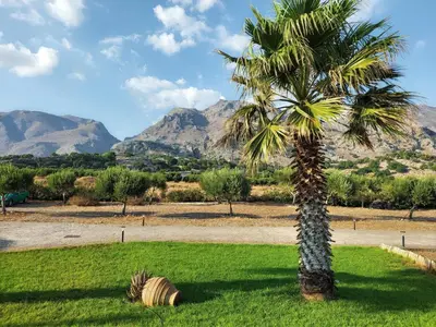 a palm tree in a field with mountains in the background at Dreamy South Sea View Apartments with Pool in Frangokastello