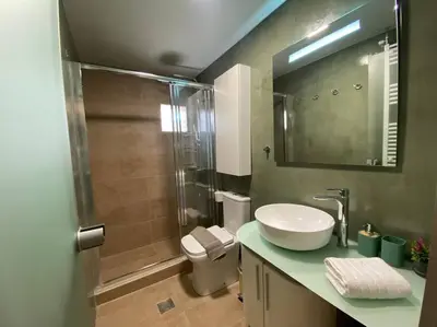 a bathroom with a sink and a shower and a toilet at Efi’s House in Chania Town
