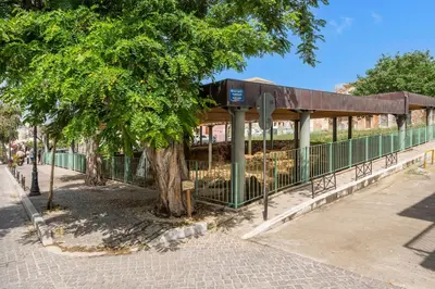 a pavilion with a tree and a fence at Tatianas Kanevaro in Chania Town