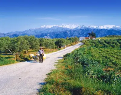 a man walking down a road with two animals on a bike at Villa Vereniki in Áyios Andhréas