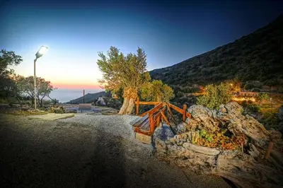 a view of a mountain with trees and a street light at PefkoPetro Loft in Chania Town