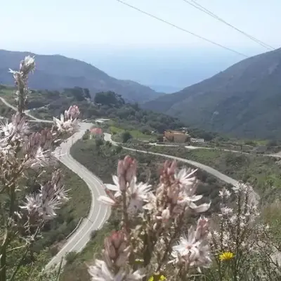 VILLA APHRODITE SOUGIA apt1