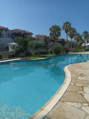 a swimming pool with blue water and palm trees at Infinity Night Villa in Chania Town