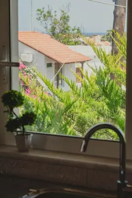 a kitchen window with a sink and a plant at Elena Apartments in Kato Daratso