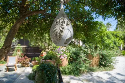 a vase hanging from a tree in a garden at Evangelos Apartments in Plataniás