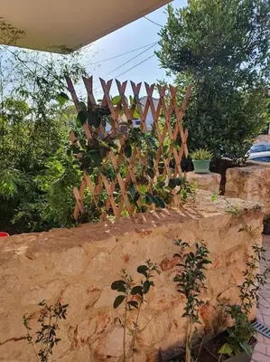 a stone wall with a bunch of plants at Korais apartment, Chania Crete in Kounoupidhianá