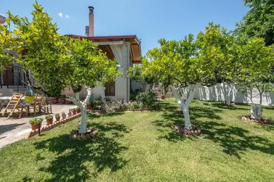 a row of trees in the yard of a house at Anthea Cottage in Kaloudhianá