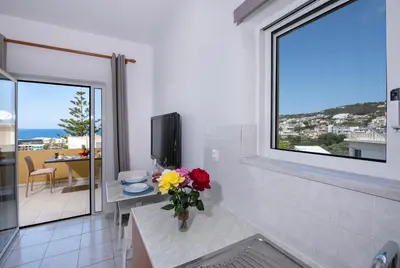 a living room with a vase of flowers on a table at Casa Di Halepa in Chania Town