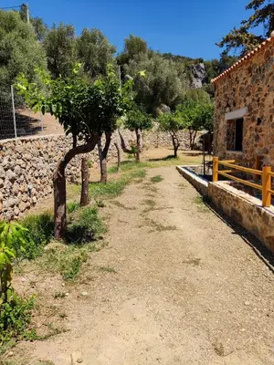 a dirt road with trees and a brick building at Place of the Gοds in Palaiochóra