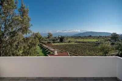 a view of a vineyard from a white wall at Villa Magia in Stérnai