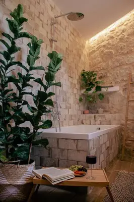 a bathroom with a bath tub and a plant at Amygdalia Traditional House in Chania Town