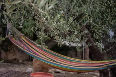 a hammock hanging from a tree in a garden at Amygdalia Traditional House in Chania Town