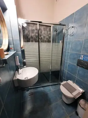 a bathroom with a shower and a toilet and a sink at Almiris Seaside Apartments in Almirida