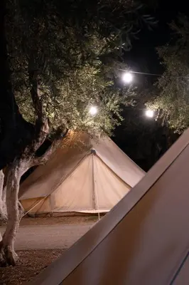 a tent sitting under a tree at night at Camping Chania in Kato Daratso