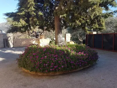 a flower bed with pink flowers in front of a tree at Mouri Villa in Mouríon