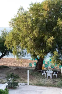 a table and chairs under a tree next to the ocean at Papidakis Studios in Agia Marina Nea Kydonias