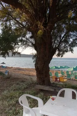 a table and chairs under a tree next to the beach at Papidakis Studios in Agia Marina Nea Kydonias