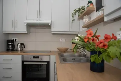 a kitchen with a sink and a vase of flowers at Seasound apartments in Galatás