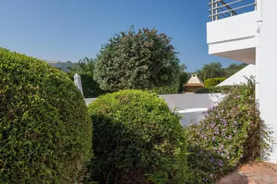 a row of hedges in front of a white building at Villa Katerina with Private Pool in Chania Town