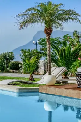 a palm tree sitting next to a swimming pool at Villa Elvina in Kissamos