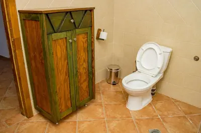a bathroom with a toilet and a wooden cabinet at Traditional house in Fres in Karés