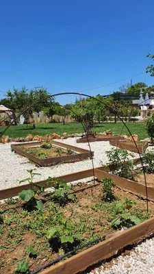 a garden with some plants in a yard at Villa Anasa Residence in Varípetron