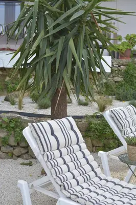 two white chairs sitting next to a plant at Casa Vista in Kissamos
