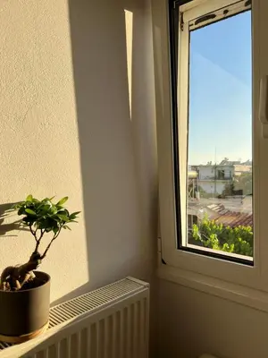 a potted plant sitting on a window sill in a room at Stratos Apartment in Chania Town