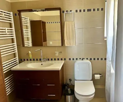 a bathroom with a toilet and a sink and a mirror at Sea View Apartment #1 in Ayiá