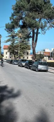 a row of cars parked next to a tree on a street at Mamouth Studios in Chania Town