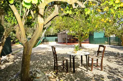 a table and chairs sitting under a tree at Lemon Garden Camper in Chania Town