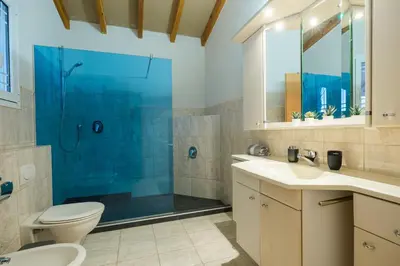 a bathroom with a shower and a toilet and sink at Zoe's Place - 1 BD Loft Beachfront Apartment in Kissamos
