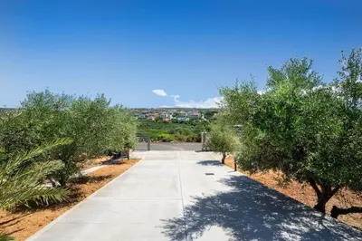 a concrete sidewalk with trees on either side at Olive Apt - Akrotiri in Kounoupidhianá