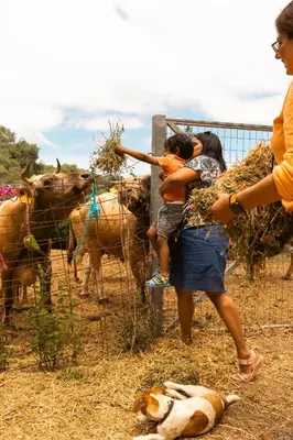 a woman holding a child andfeeding animals behind a fence at House Of Ntounias ΙΙ in Dhrakóna