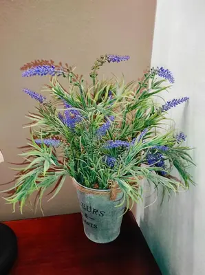 a potted plant with blue flowers sitting on a table at TziApartment in downtown Chania in Chania Town