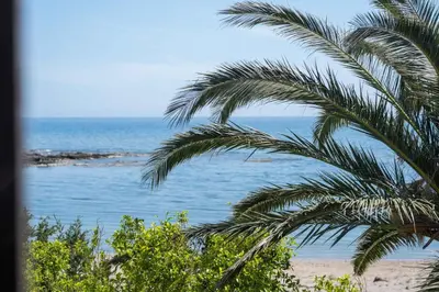 a palm tree on a beach near the ocean at MYLOS (6) in Chania Town