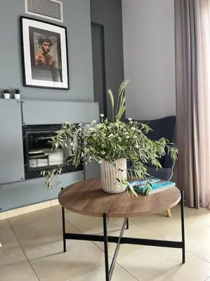 a table with a potted plant on it in a living room at Ion villa - Xirokampi in Ayiá