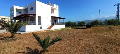 a white house with a palm tree in front of it at Casa Lazareta in Chania Town