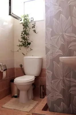 a bathroom with a toilet and a plant on the wall at Down Town apartment 27a in Chania Town