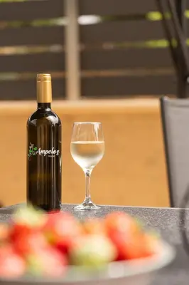 a bottle of wine next to a plate of fruit at Ampelos in Perivólia