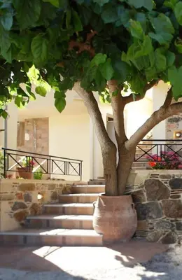 a tree in a pot next to a set of stairs at VALENA COZY MAISONETTE (15 min-ELAFONISI BEACH) in Élos