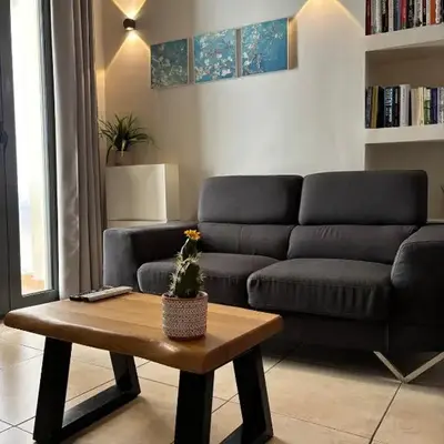 Duplex apartment city center