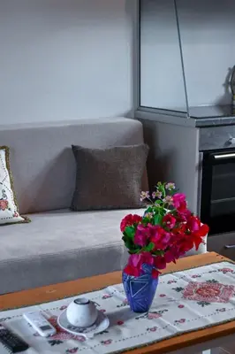 a living room with a couch and a vase of flowers on a table at Coastal Haven Your Oasis by the Sea in Análipsis