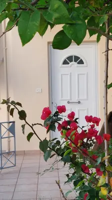 a white door with red flowers in front of it at Sunbeam Retreat in Chania Town