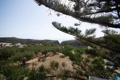 a view from the top of a hill with trees at Infinity Wellness Boutique Hotel in Afráta